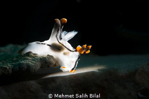 Glowing pikachu. by Mehmet Salih Bilal 
